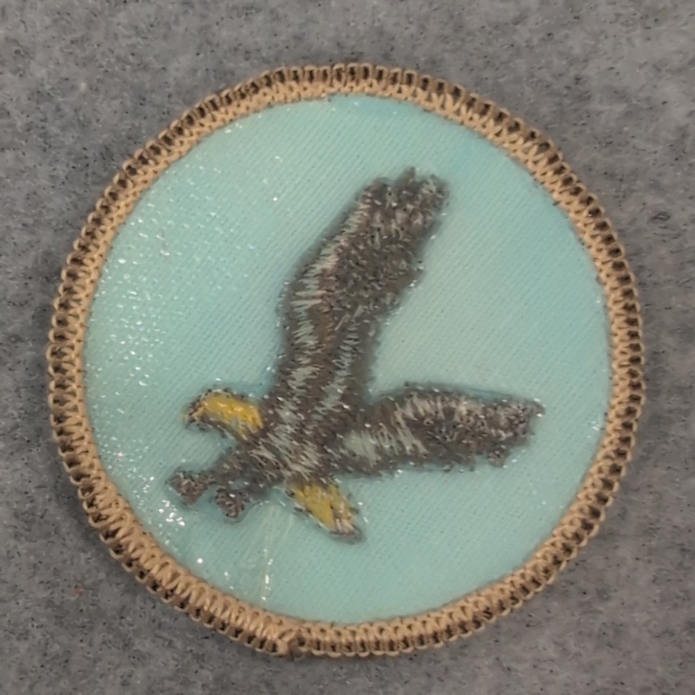Embroidered Eagle Patch Badge Flying Design Circle Applique Apparel Accessory - Picture 2 of 3